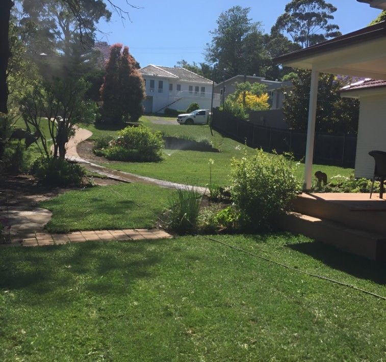 A Lush Green Yard With a House in the Background — Superior Turf in Dapto, NSW