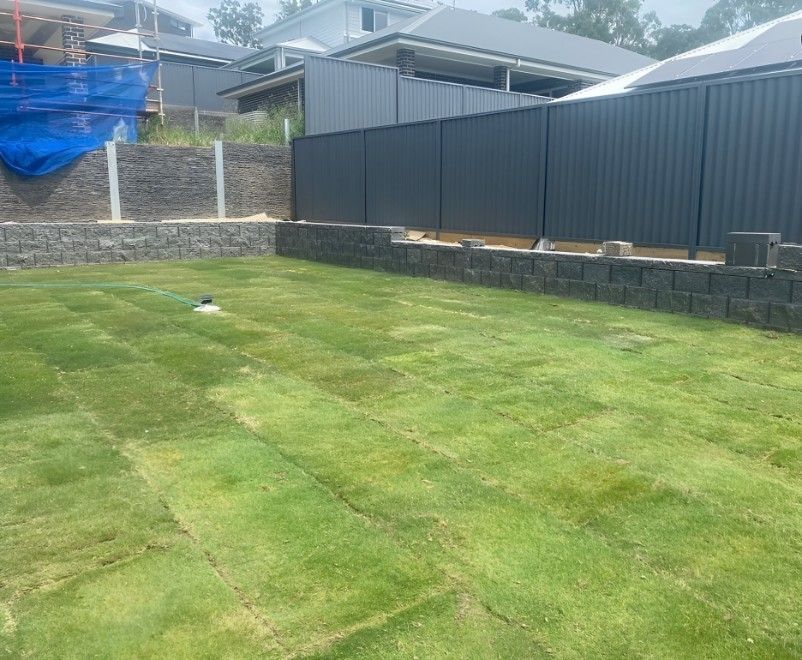 A Lush Green Lawn With a Black Fence in the Background — Superior Turf in Dapto, NSW
