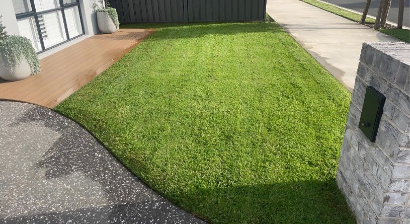 A Lush Green Lawn is Growing in Front of a House — Superior Turf in Shellharbour, NSW