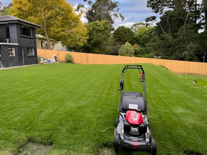 A Lawn Mower is Sitting in the Middle of a Lush Green Lawn — Superior Turf In Shoalhaven, NSW