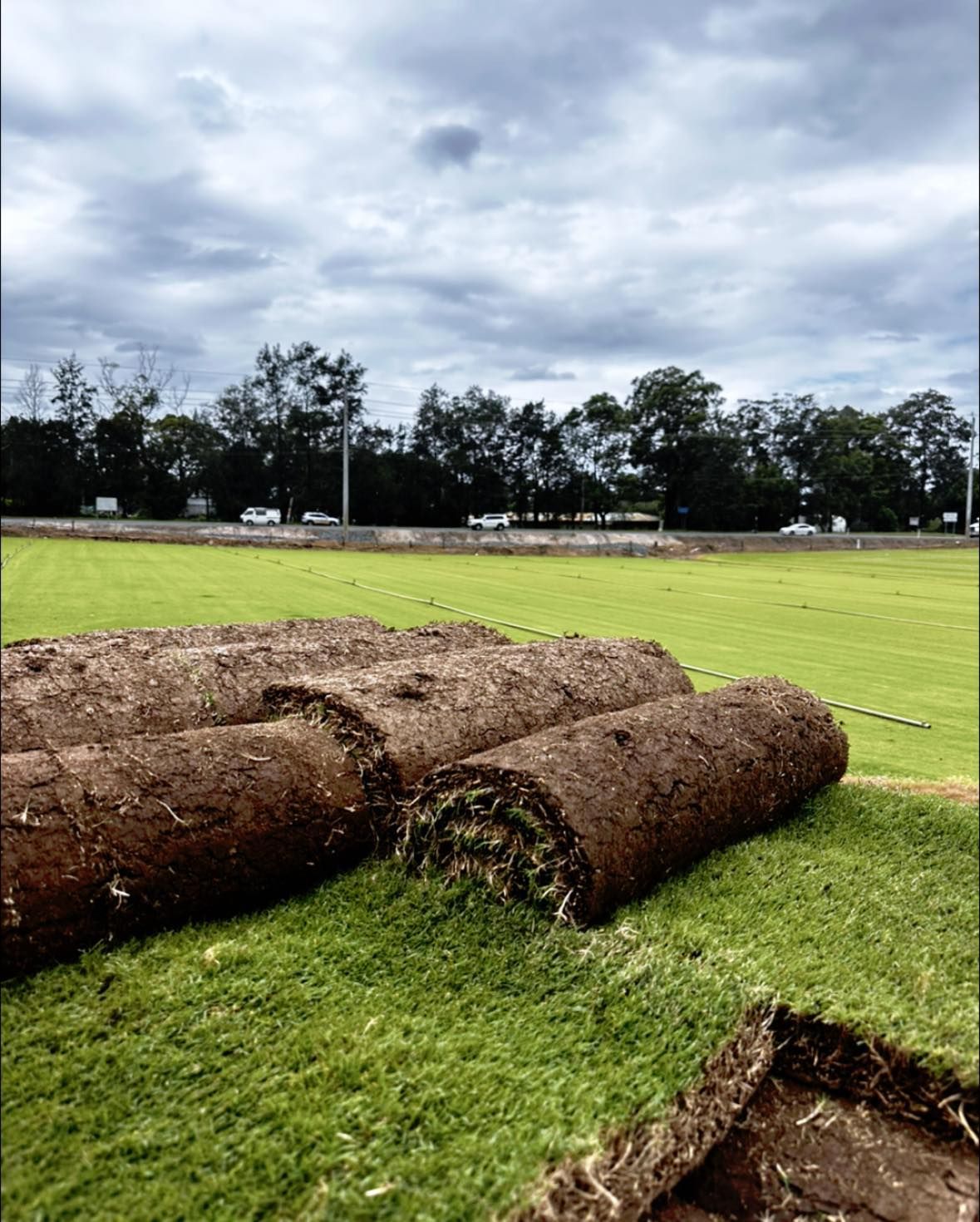 A Lush Green Field With a Fence and Trees in the Background — Superior Turf in Oak Flats, NSW