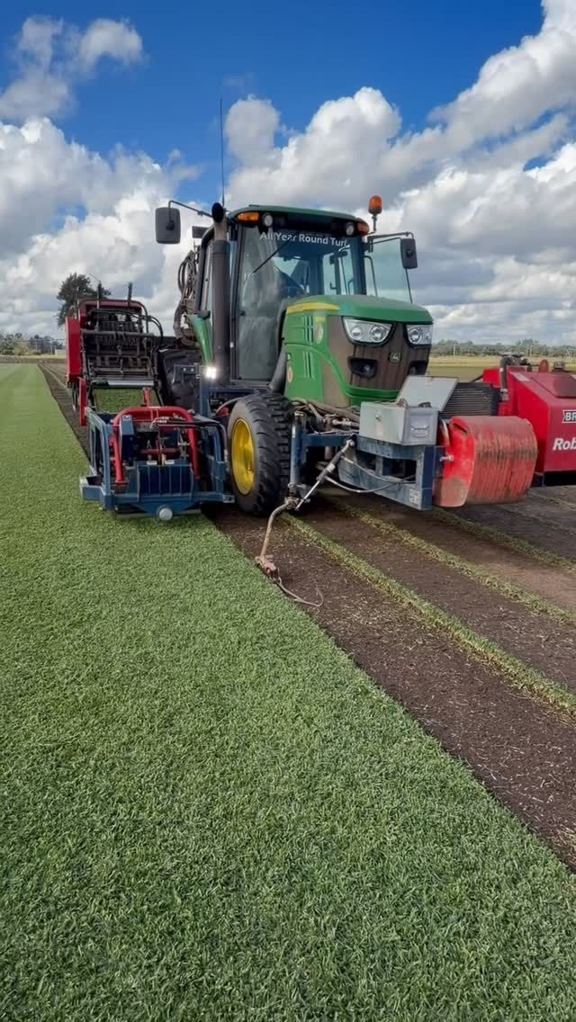 A Man in a Yellow Vest is Standing in the Middle of a Lush Green Field — Superior Turf in Oak Flats, NSW