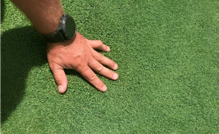 A Person's Hand is Laying on Top of a Lush Green Lawn — Superior Turf In Shoalhaven, NSW