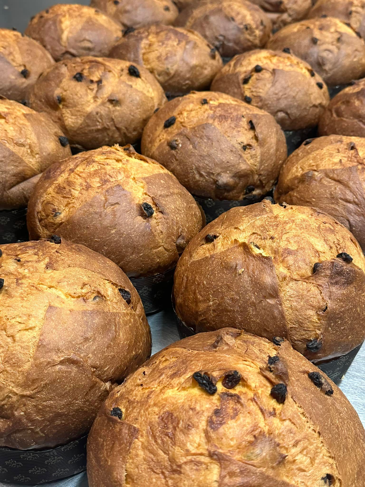 panettoni