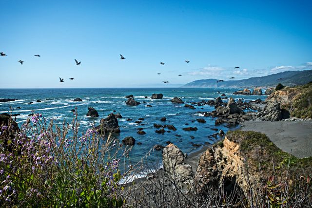 A flock of birds are flying over a rocky beach near the ocean.