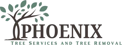 Logo for Phoenix Tree Services and Tree Removal: tree graphic with the name.