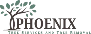 Logo for Phoenix Tree Services and Tree Removal: tree graphic with the name.