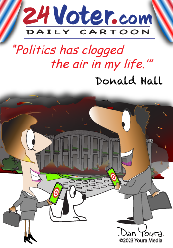 The fog of politics 