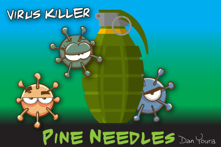Cartoon virus labeled “Virus Killer” and “Pine Needles,” with three germs around a pinecone-like shape.
