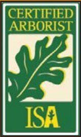 Certified Arborist Certified Arborist