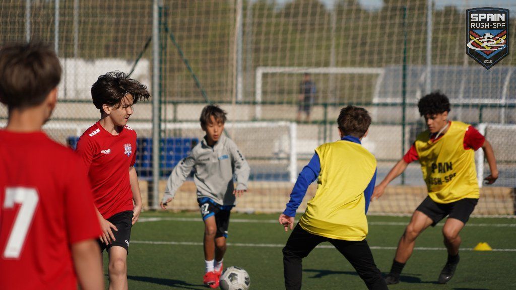 A group of young boys are playing soccer on a field.