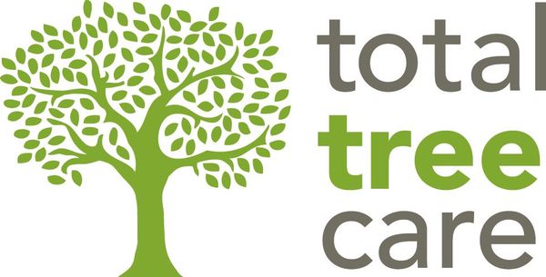 Professional Arborist in Melbourne