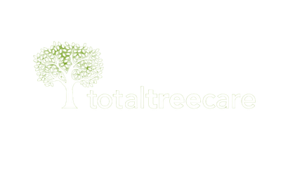 Total Tree Care Fav Icon