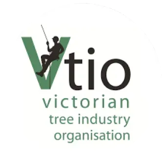 Vtio