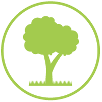 Tree Pruning