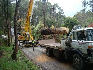 A Crane Lifting a Large Log, Placing It on a Flatbed Truck in a Wooded Area — Total Tree Care In Dandenong, VIC