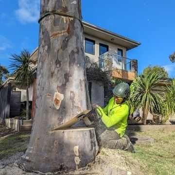 Arborist Cuts a Tree Trunk Near a House — Total Tree Care In Dandenong, VIC
