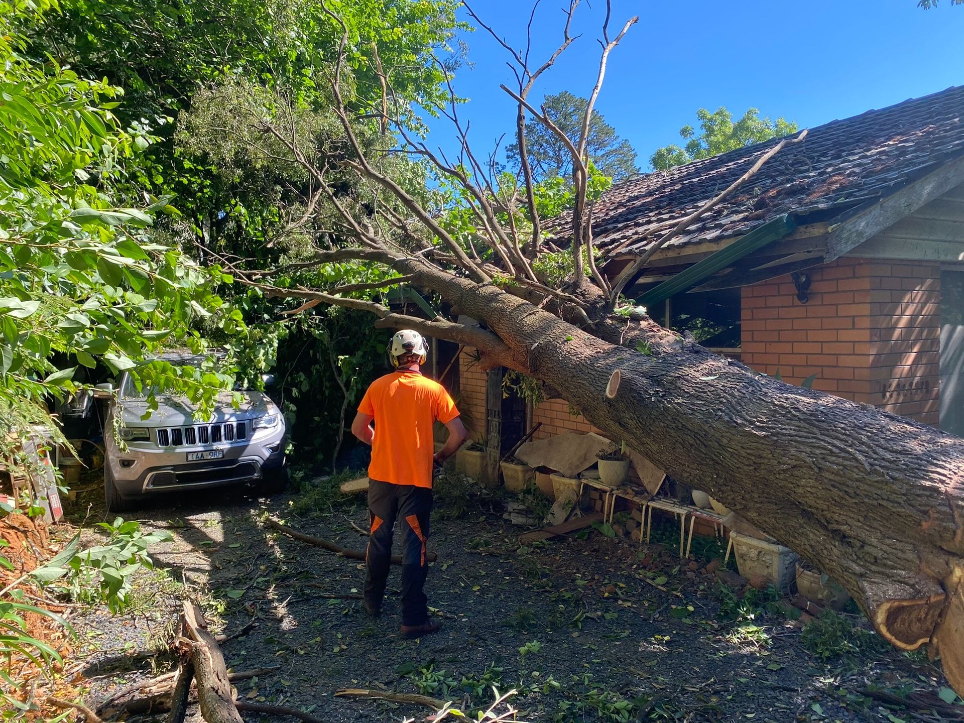 Man in Orange Shirt Assesses Damage From a Fallen Tree on a Building — Total Tree Care In Dandenong, VIC