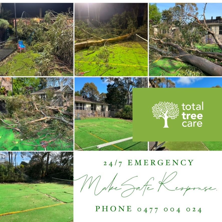 Collage of Tree Damage and Total Tree Care Logo — Total Tree Care In Dandenong, VIC