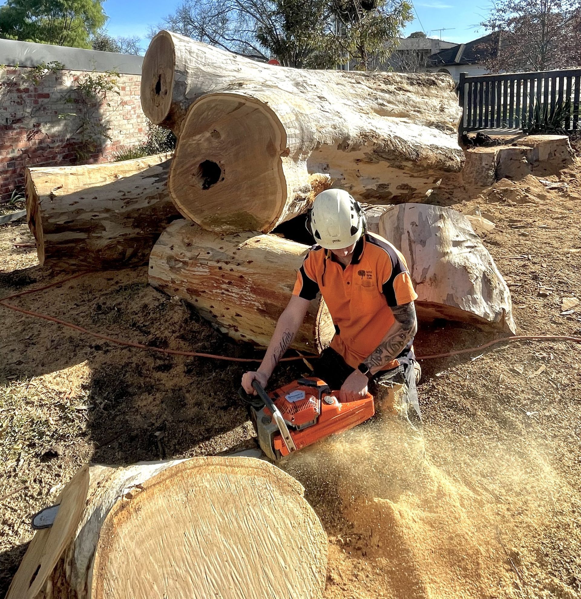 Arborist Cutting a Log With a Chainsaw — Total Tree Care In Dandenong, VIC