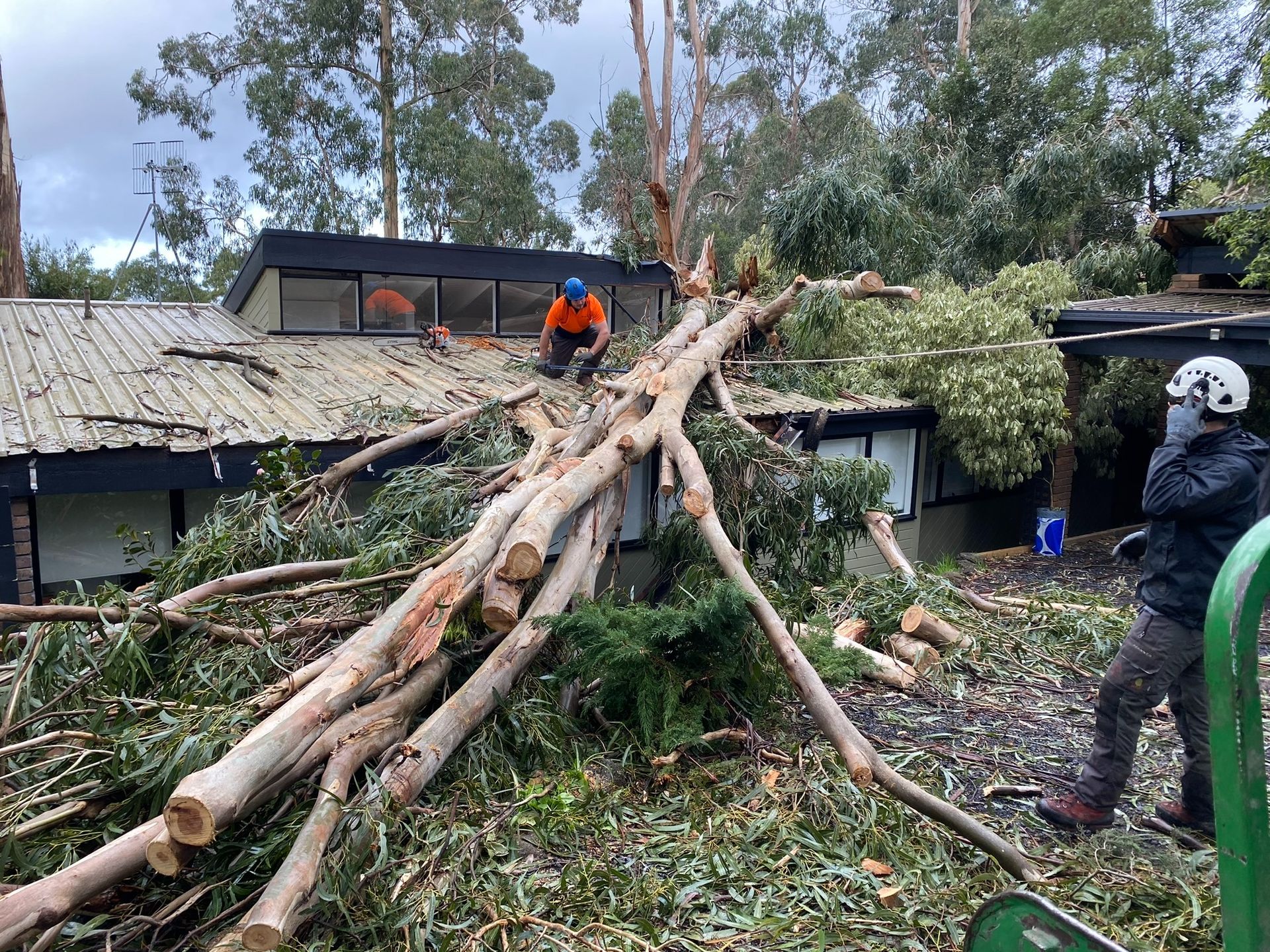 Two Tree Trimmers Cutting Tree Branches Off a Roof — Total Tree Care In Dandenong, VIC