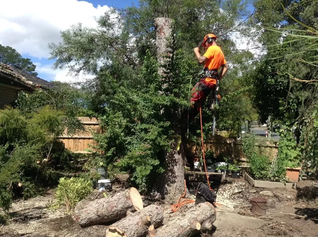 Arborist in Orange Gear Atop a Tree — Total Tree Care In Dandenong, VIC