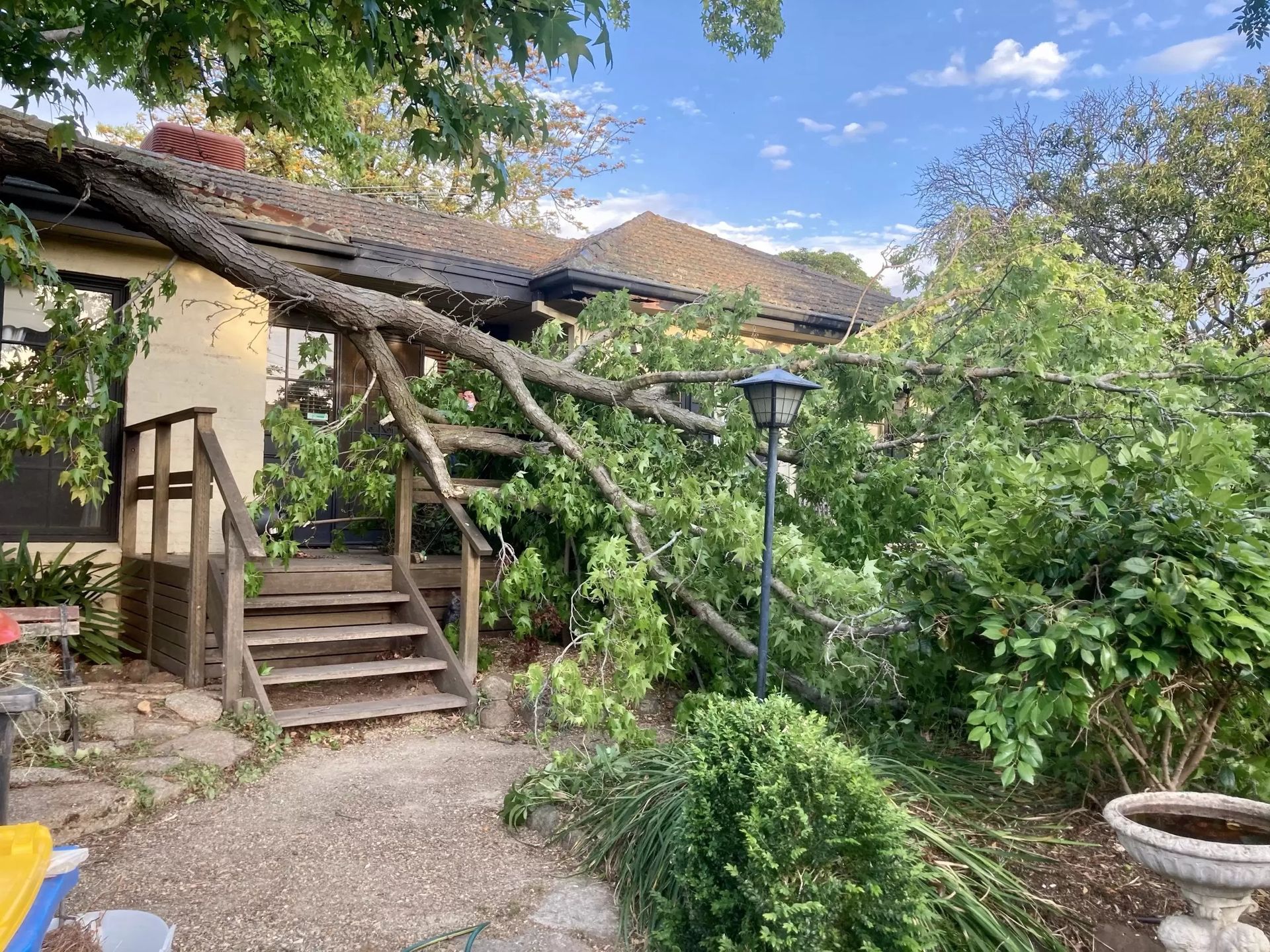 A Tree Branch Has Fallen Onto a House — Total Tree Care In Dandenong, VIC