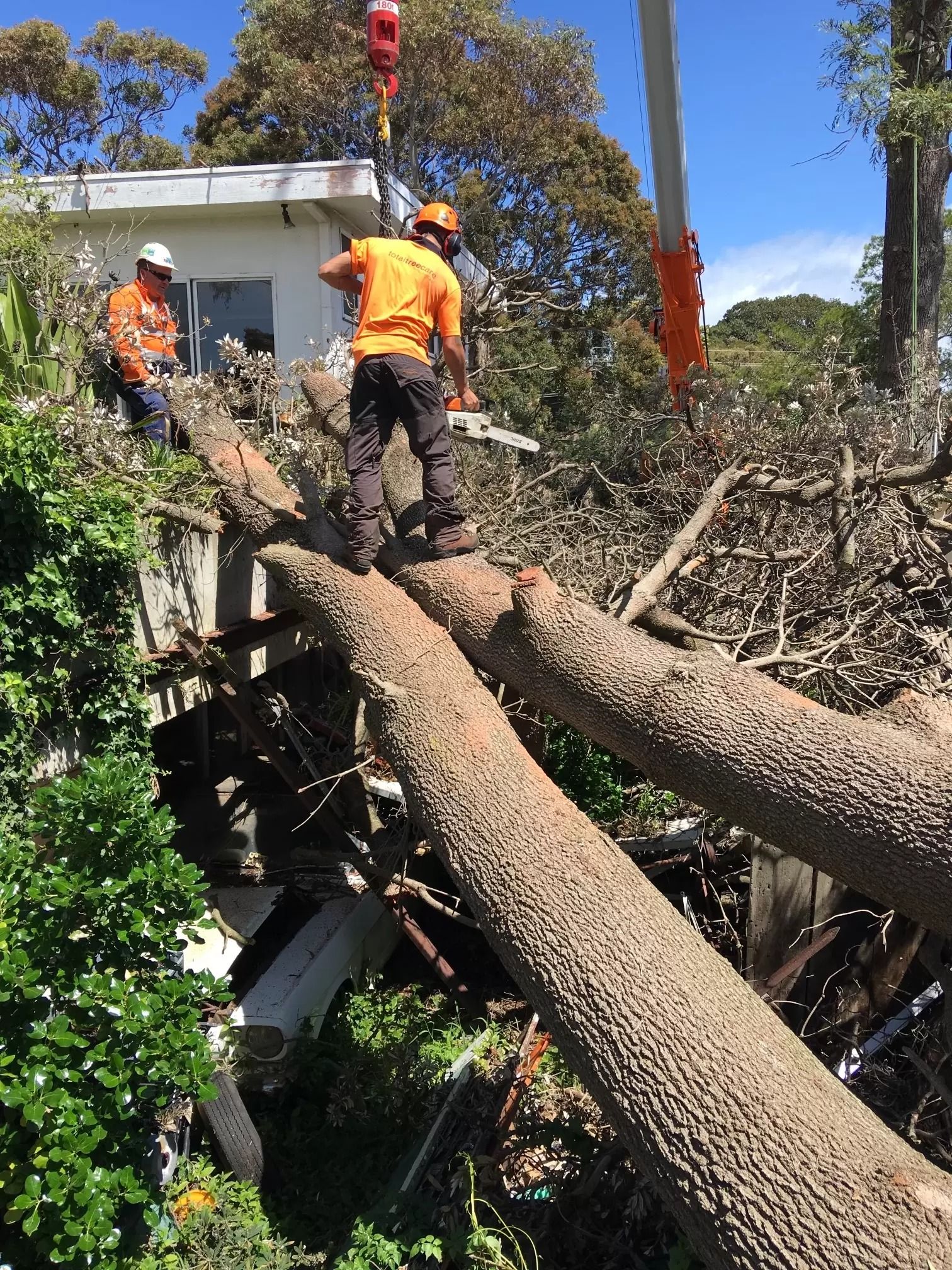 Two Tree Workers Cutting Fallen Tree — Total Tree Care In Dandenong, VIC
