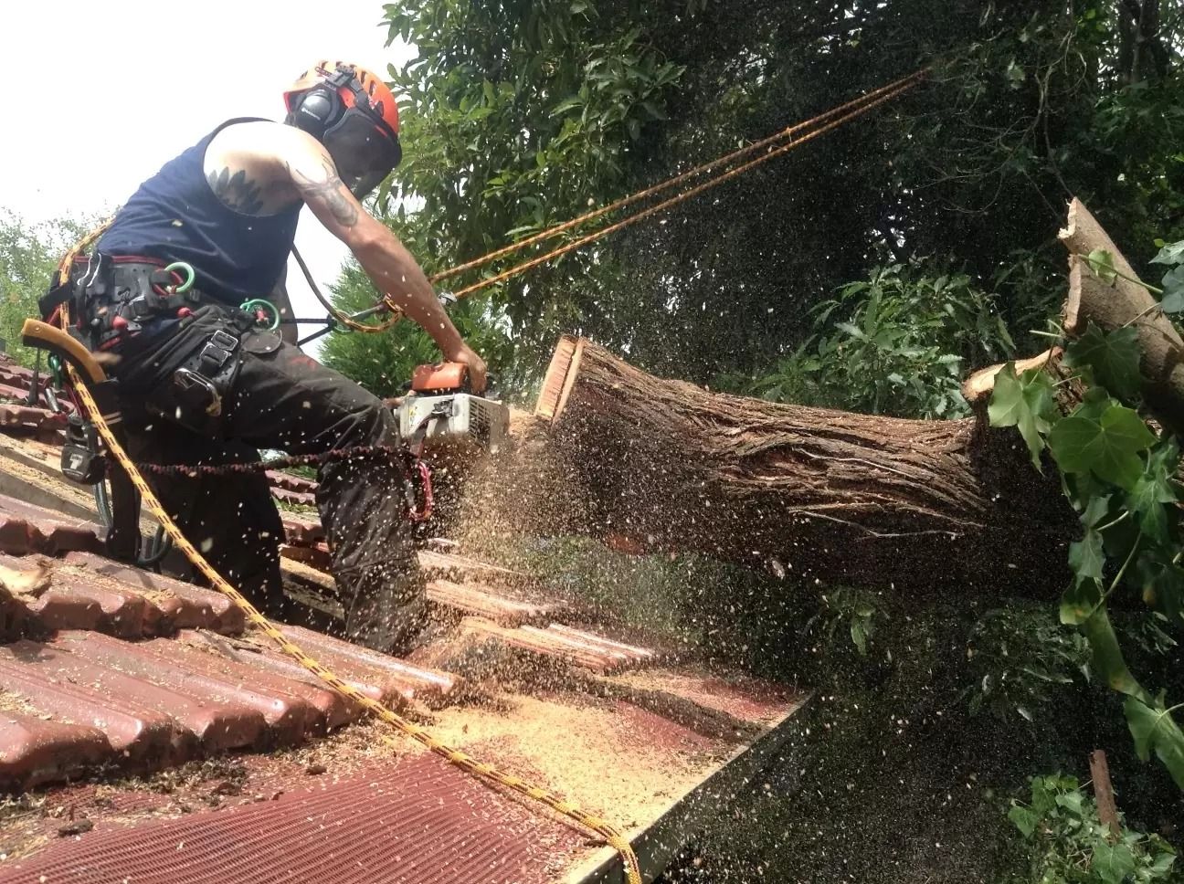 Arborist on a Roof Cutting a Tree — Total Tree Care In Dandenong, VIC