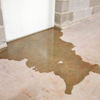 Rapid Emergency Response For Water Damage