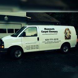Mammoth Cleaners