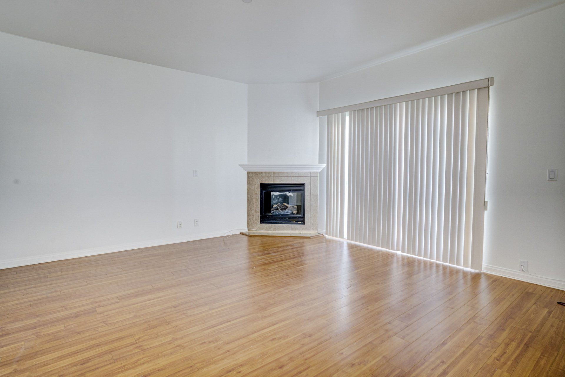 unit 202 living room