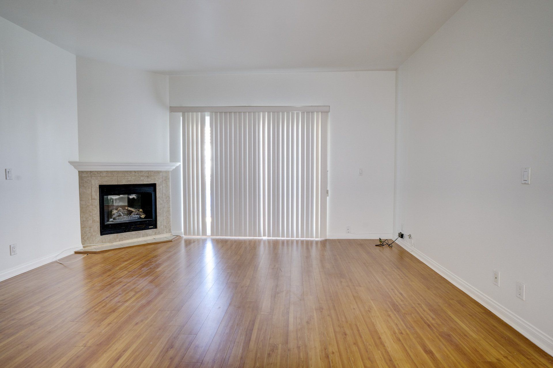 unit 202 living room