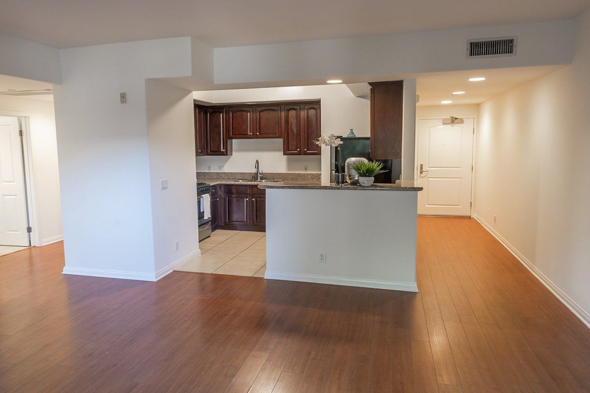 unit 202 kitchen