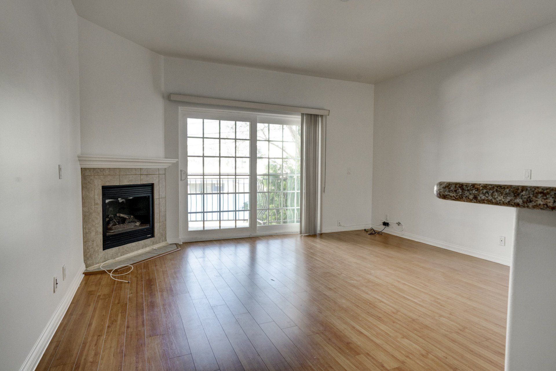 unit 202 living room