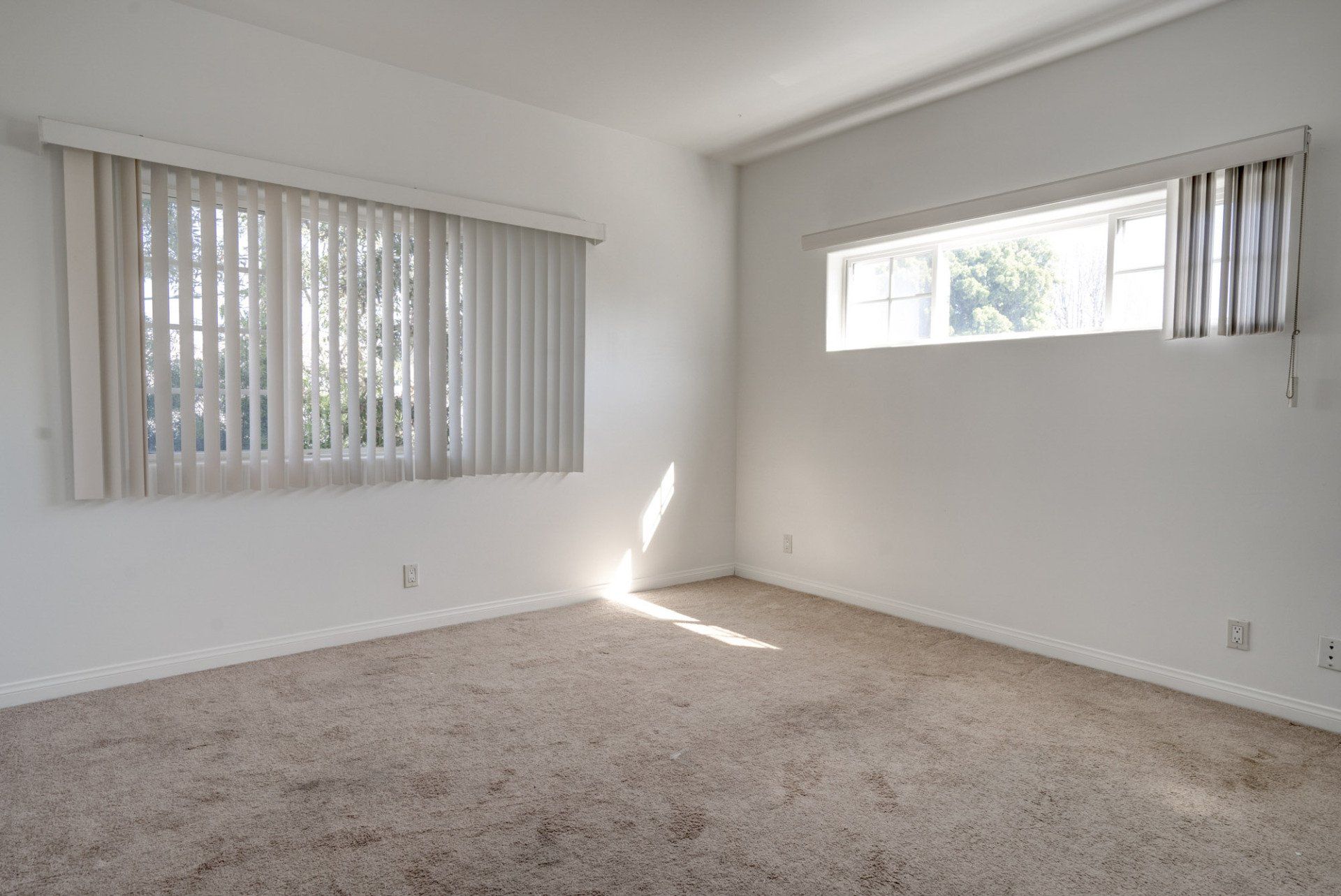 unit 202 room