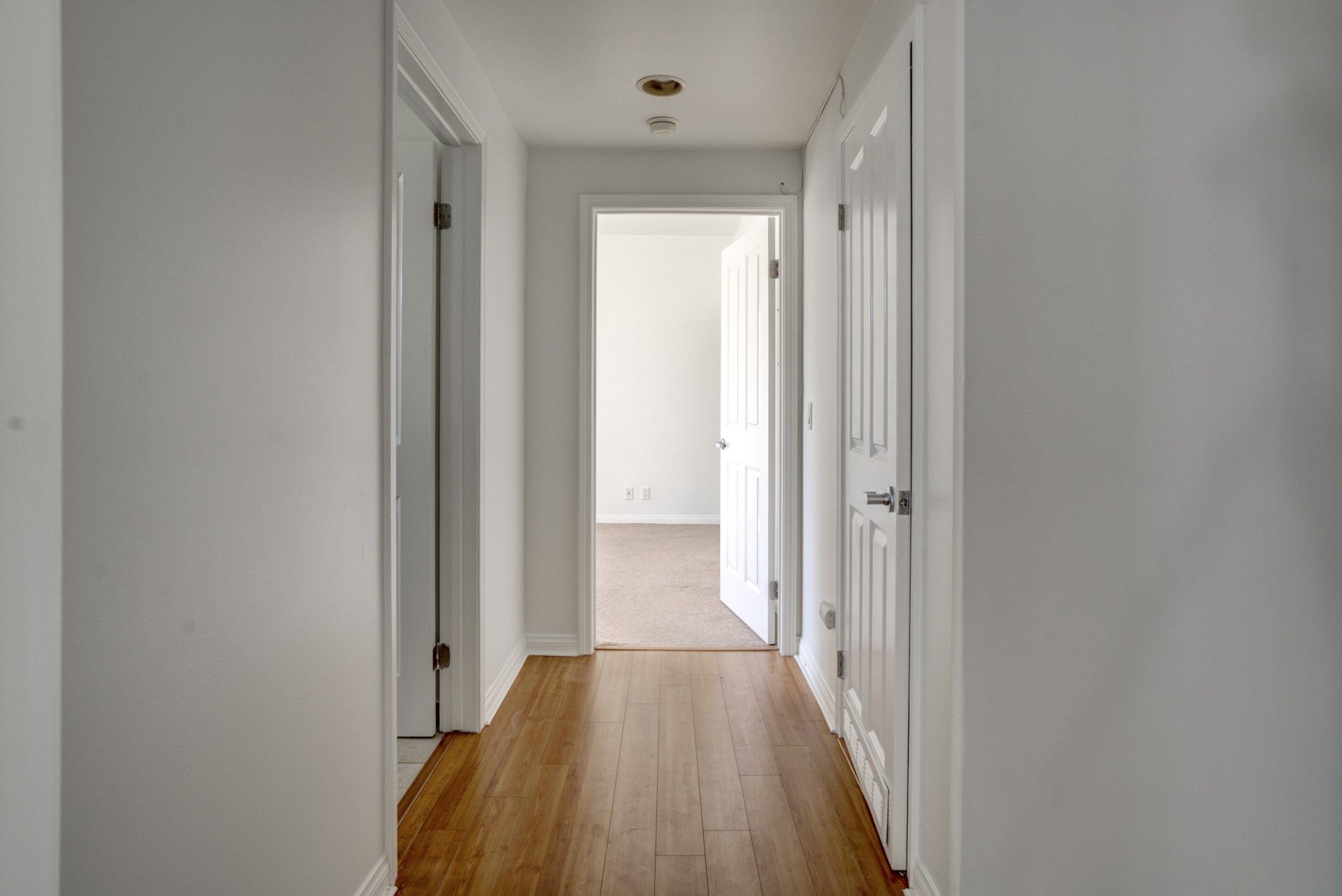 unit 202 hallway
