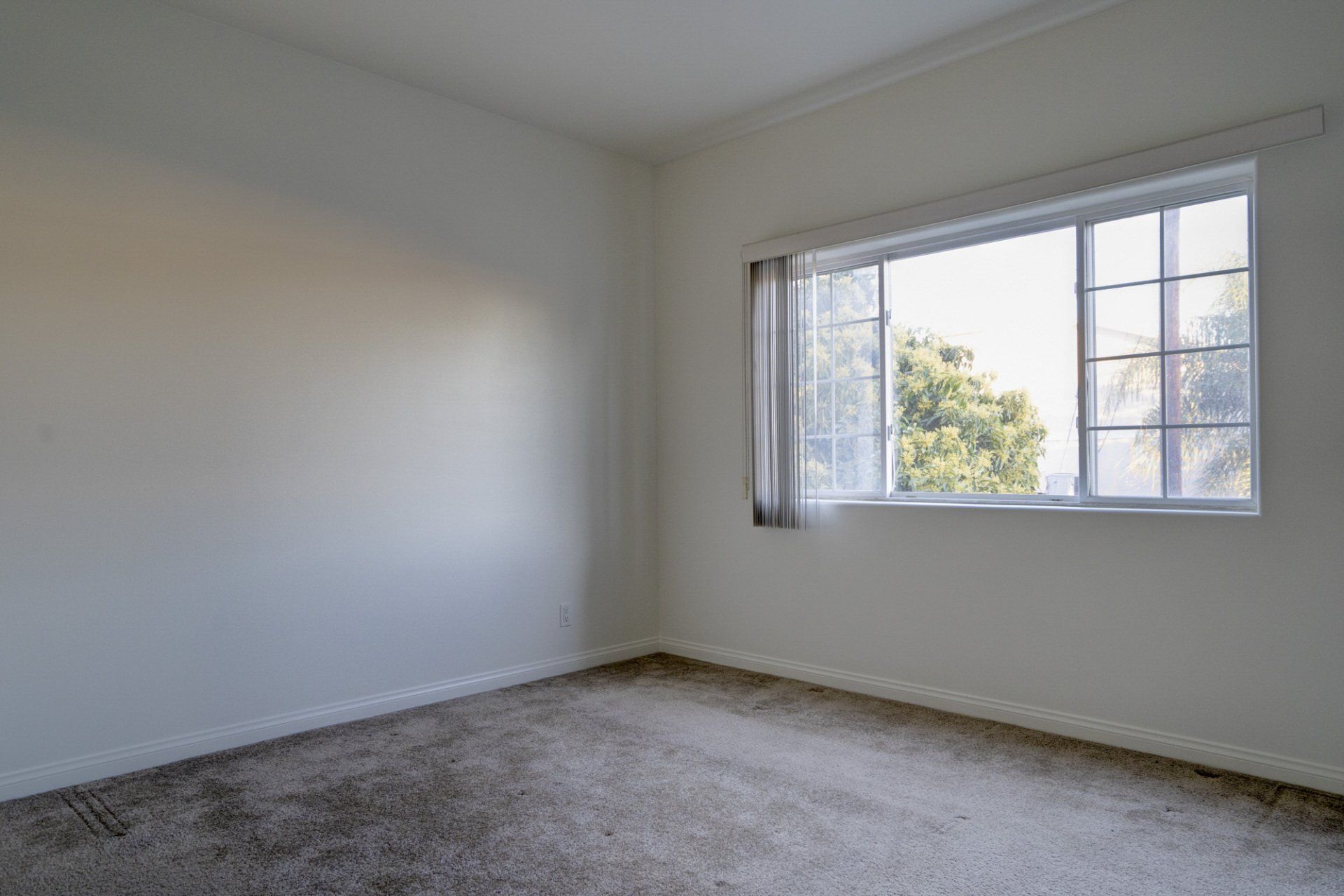 unit 204 room