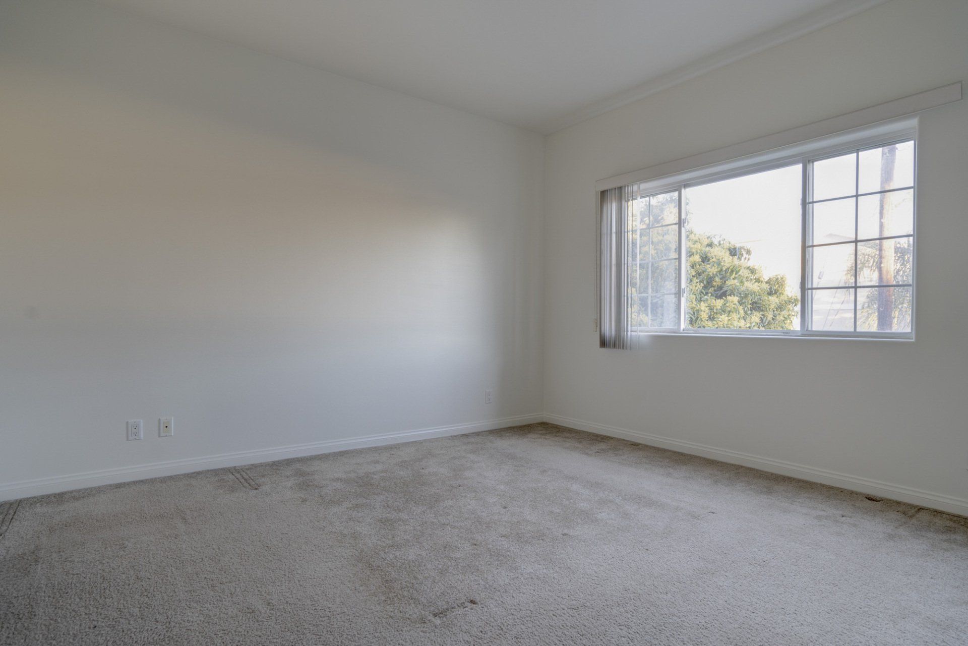 unit 204 room