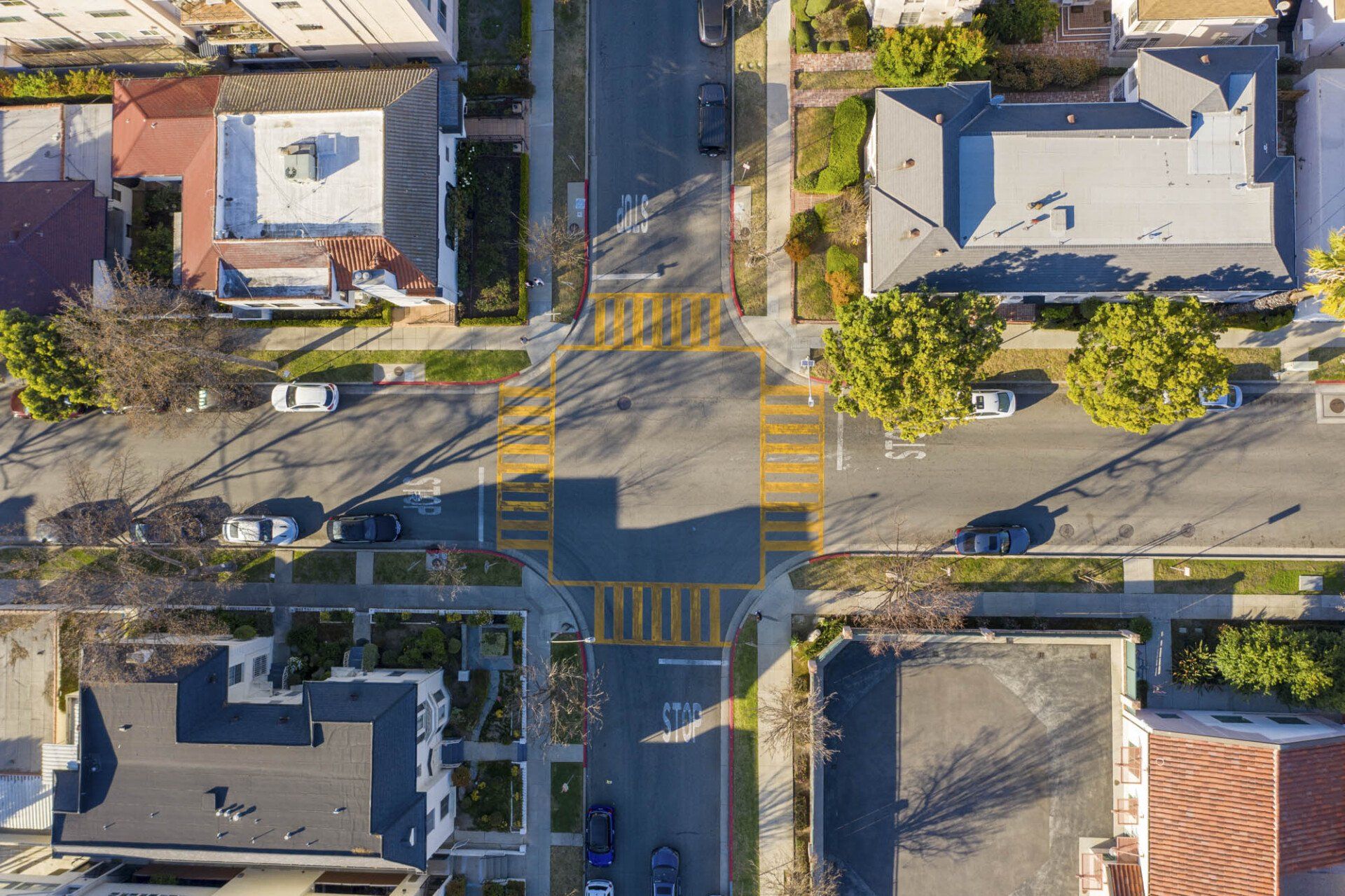 elm birds eye view