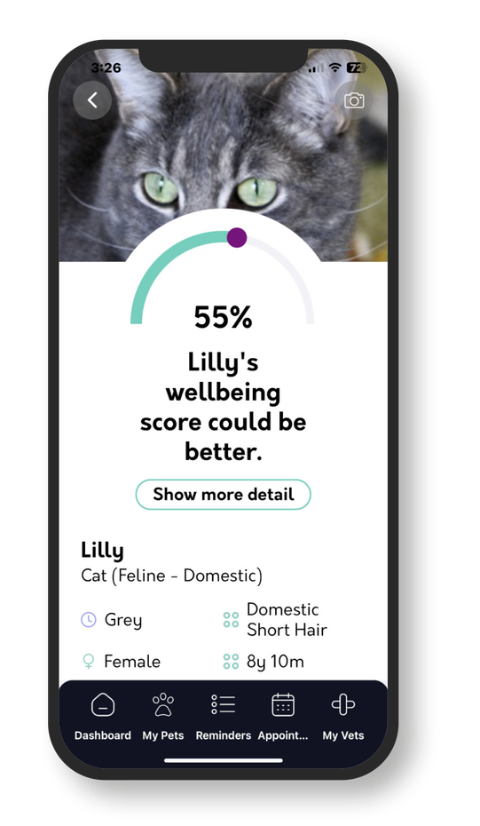 MyPetHealth App