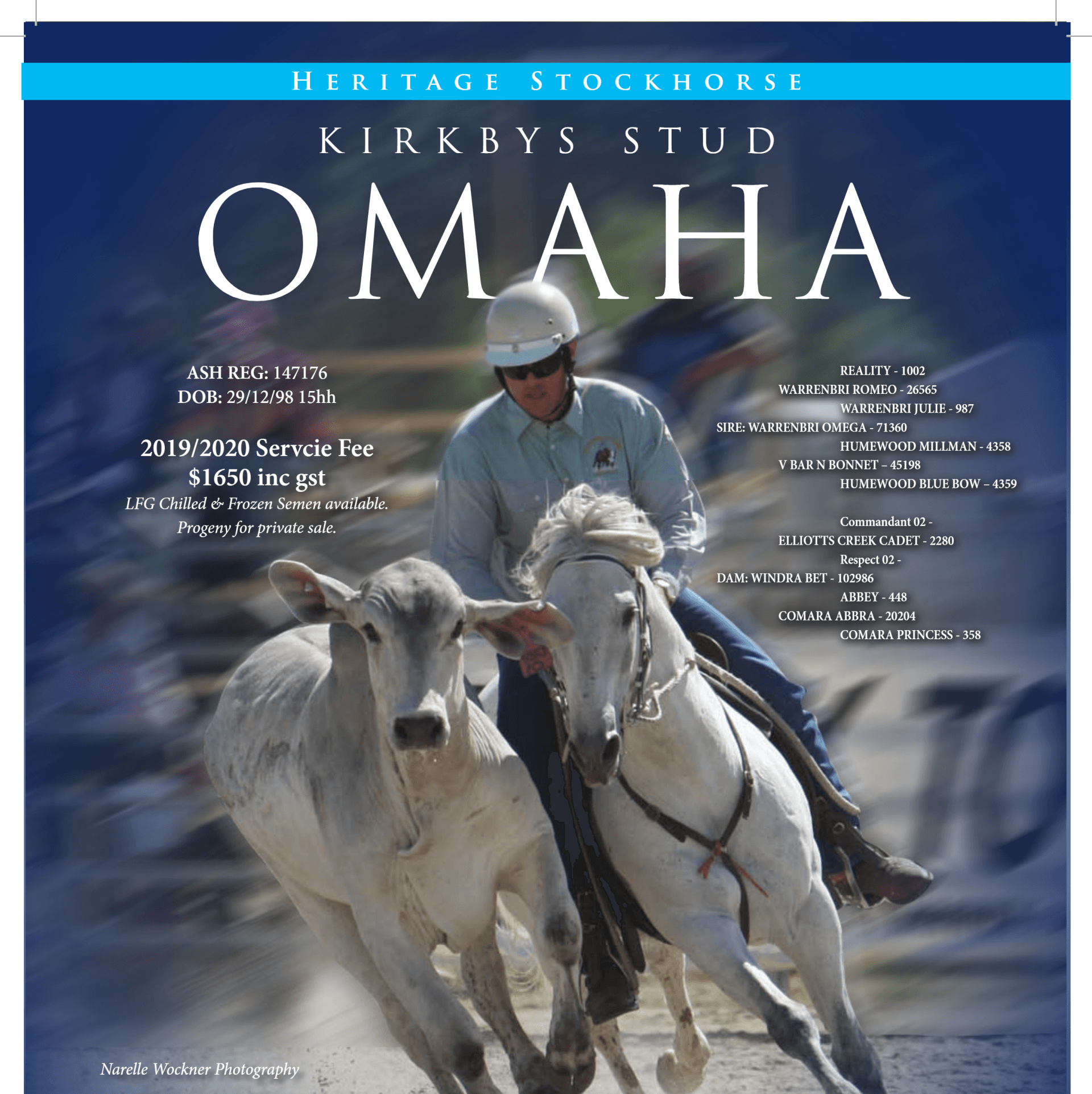Kirkbys Stud Omaha - HSH