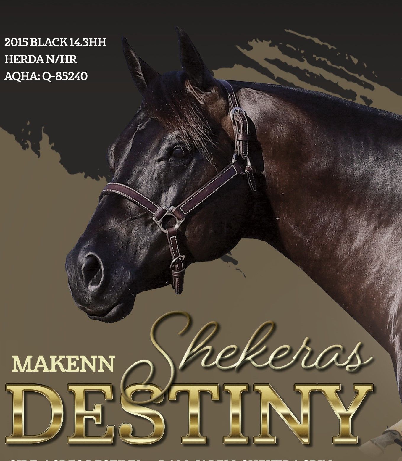 Makenn Shekeras Destiny