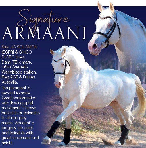 Signature Armani