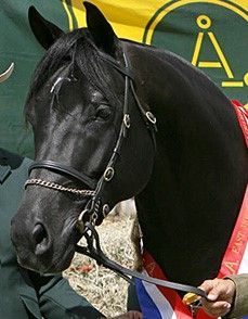 Cadabra