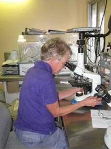 Laboratory Equipment