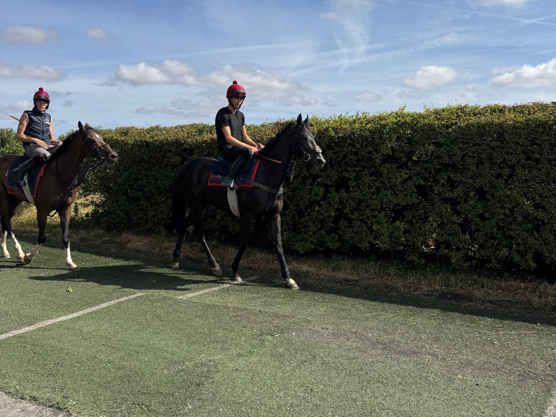 Horse and jockey leap a hurdle in a steeplechase race under a clear sky.