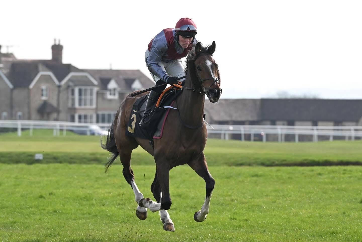 Horse and jockey leap a hurdle in a steeplechase race under a clear sky.