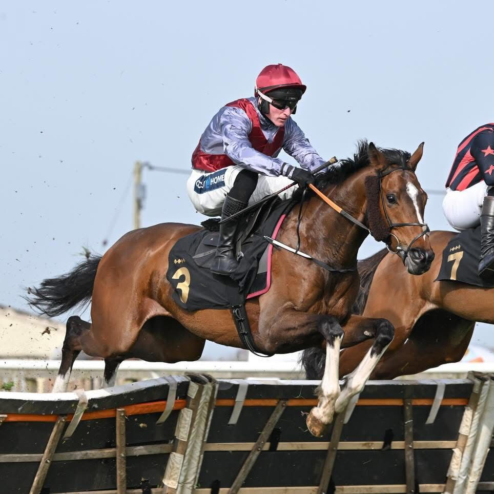 Horse and jockey leap a hurdle in a steeplechase race under a clear sky.