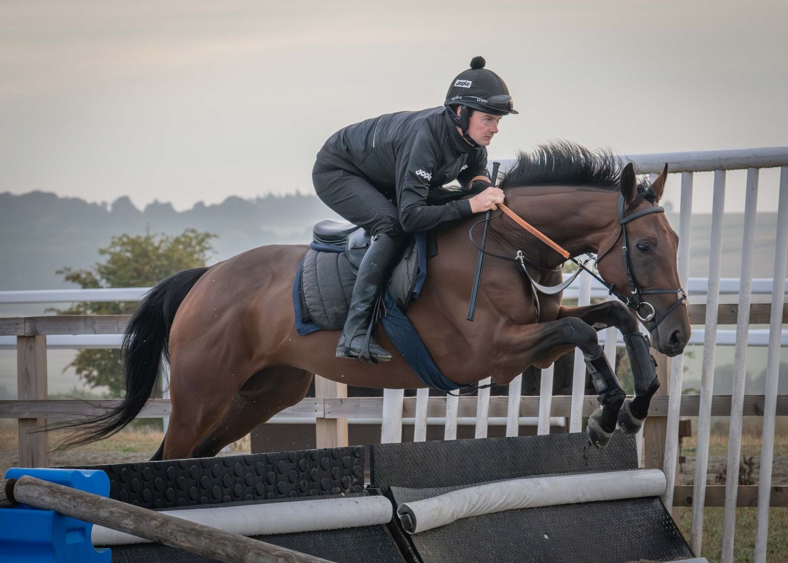 Training A jockey rides a bay horse jumping a low fence in a grassy outdoor setting.